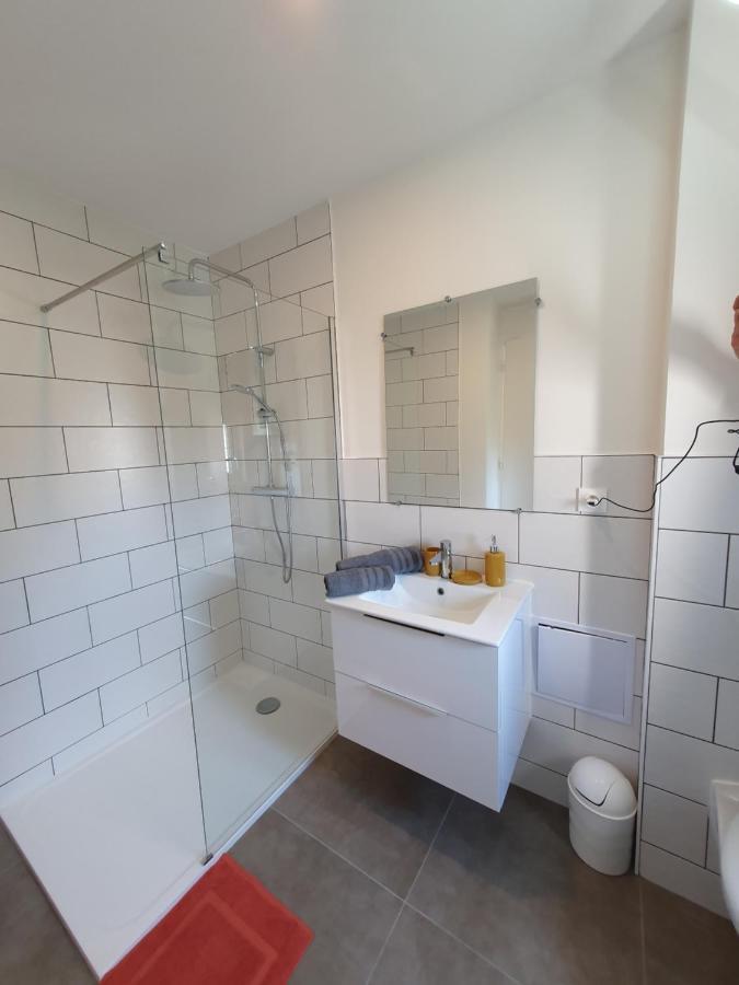 Appart'Hotel, Ikimo 5 Appartements Entiers A Votre Disposition Au Choix Нанси Екстериор снимка