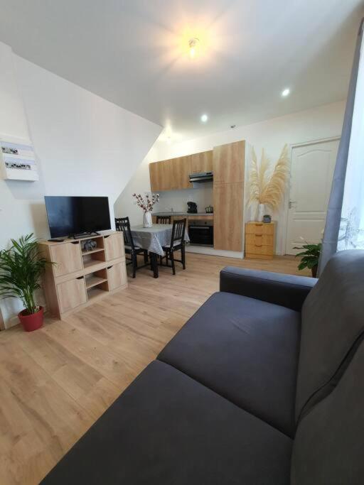 Appart'Hotel, Ikimo 5 Appartements Entiers A Votre Disposition Au Choix Нанси Екстериор снимка