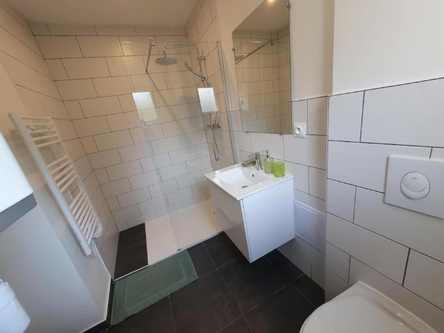 Appart'Hotel, Ikimo 5 Appartements Entiers A Votre Disposition Au Choix Нанси Екстериор снимка