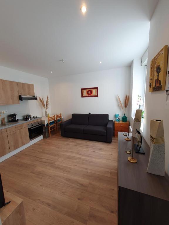 Appart'Hotel, Ikimo 5 Appartements Entiers A Votre Disposition Au Choix Нанси Екстериор снимка