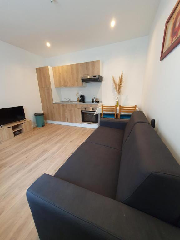 Appart'Hotel, Ikimo 5 Appartements Entiers A Votre Disposition Au Choix Нанси Екстериор снимка