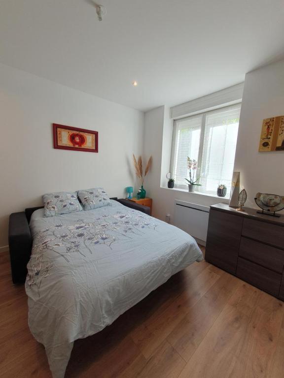 Appart'Hotel, Ikimo 5 Appartements Entiers A Votre Disposition Au Choix Нанси Екстериор снимка