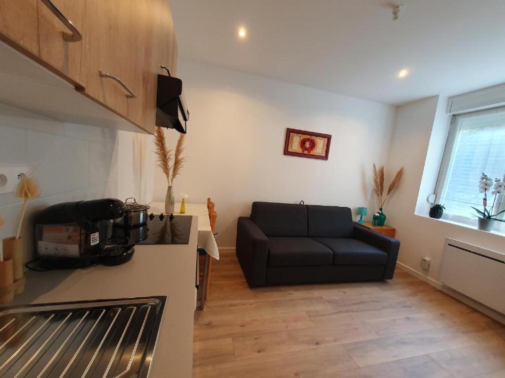 Appart'Hotel, Ikimo 5 Appartements Entiers A Votre Disposition Au Choix Нанси Екстериор снимка
