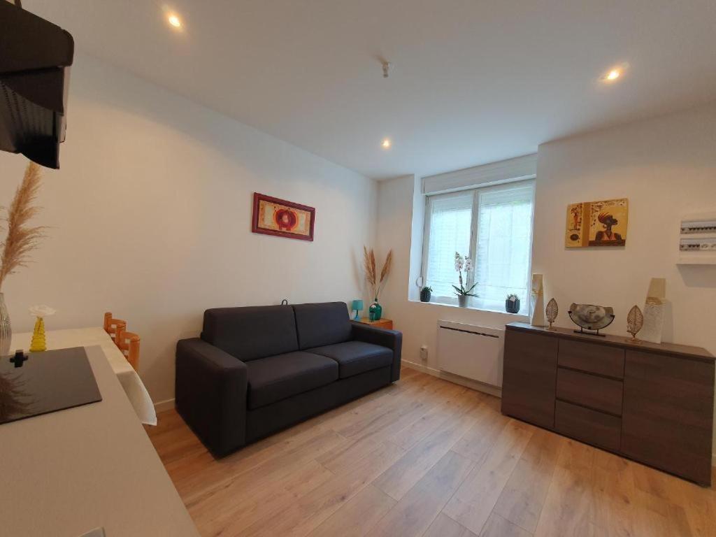 Appart'Hotel, Ikimo 5 Appartements Entiers A Votre Disposition Au Choix Нанси Екстериор снимка
