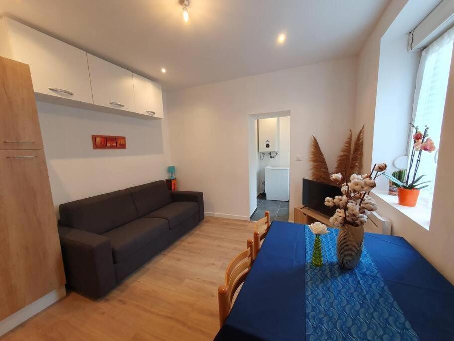 Appart'Hotel, Ikimo 5 Appartements Entiers A Votre Disposition Au Choix Нанси Екстериор снимка