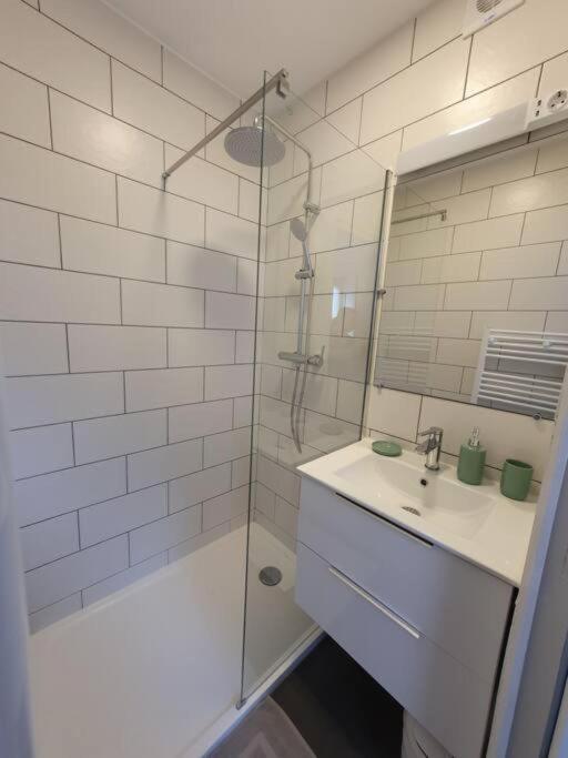 Appart'Hotel, Ikimo 5 Appartements Entiers A Votre Disposition Au Choix Нанси Екстериор снимка