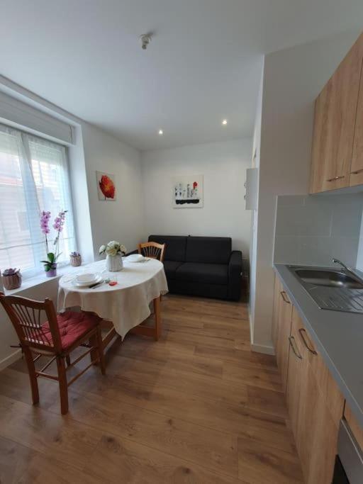 Appart'Hotel, Ikimo 5 Appartements Entiers A Votre Disposition Au Choix Нанси Екстериор снимка