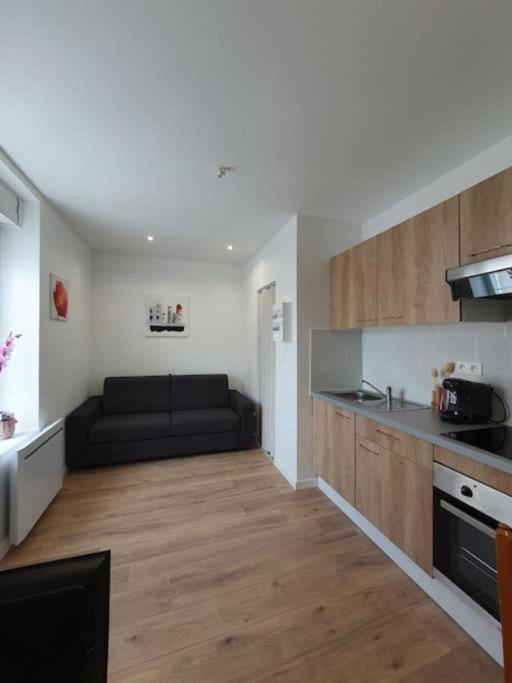 Appart'Hotel, Ikimo 5 Appartements Entiers A Votre Disposition Au Choix Нанси Екстериор снимка